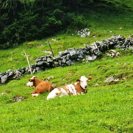 Huetten-idylle Im Naturparadies Holiday home