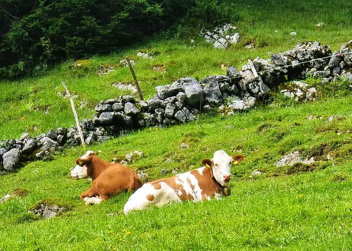Huetten-idylle Im Naturparadies Casa de Férias