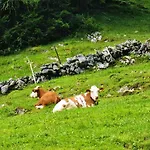 Huetten-idylle Im Naturparadies Holiday home